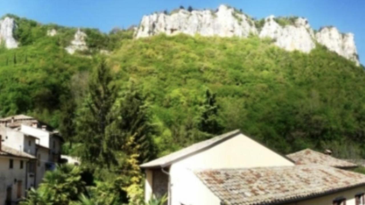 Villa Poggio Ulivo Pool-Apartments 리볼리 베로네세 외부 사진