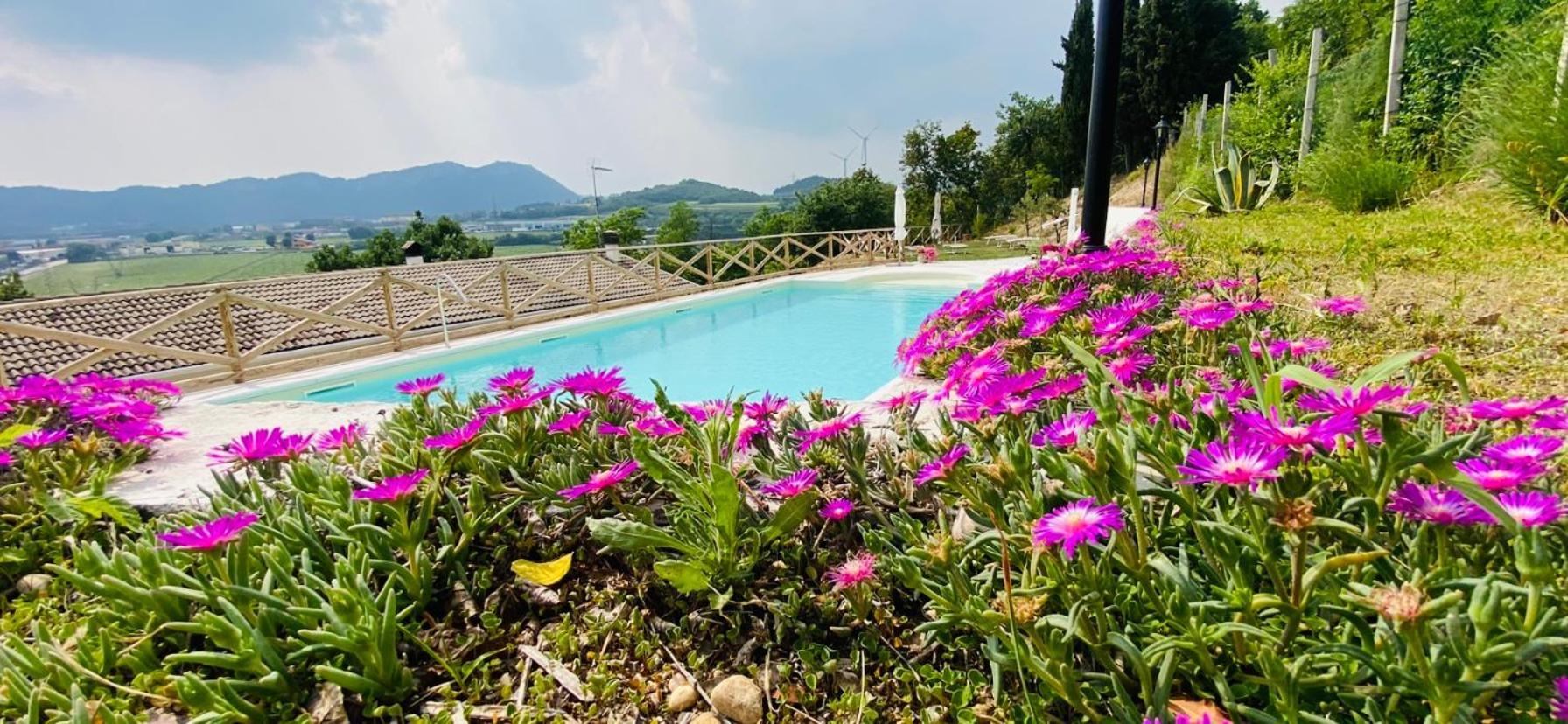 Villa Poggio Ulivo Pool-Apartments 리볼리 베로네세 외부 사진